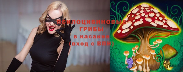 хмурый Алексеевка