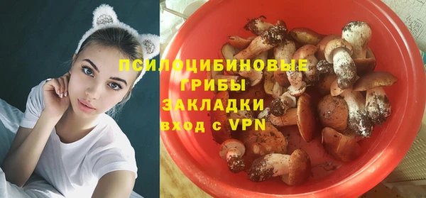 гидра Алзамай