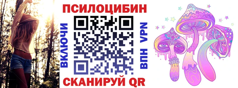 blacksprut зеркало  Дзержинский  Псилоцибиновые грибы мицелий  наркота 