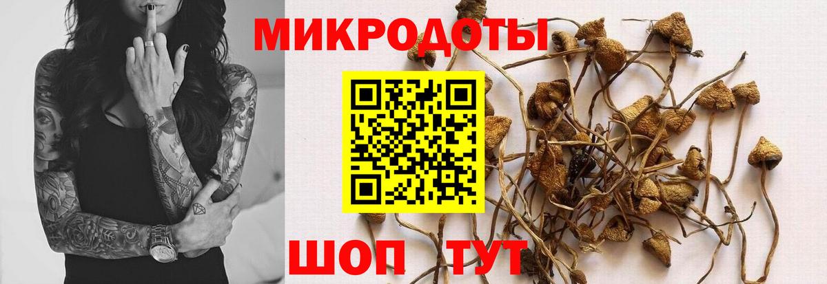 Псилоцибиновые грибы Magic Shrooms  Вход с VPN  Дзержинский 
